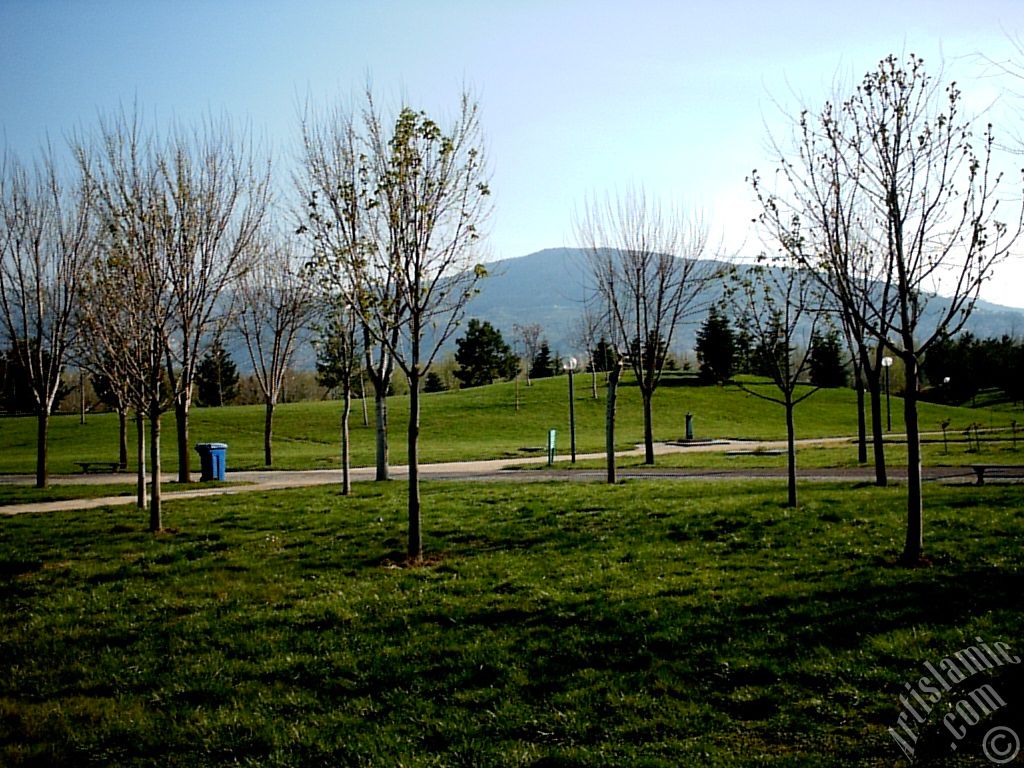 Bursa Botanik Park�ndan bir manzara.
