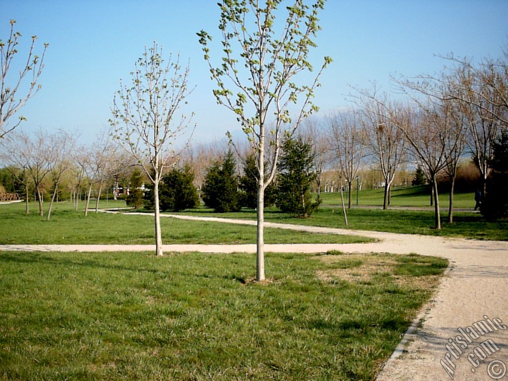 Bursa Botanik Park�ndan bir manzara.
