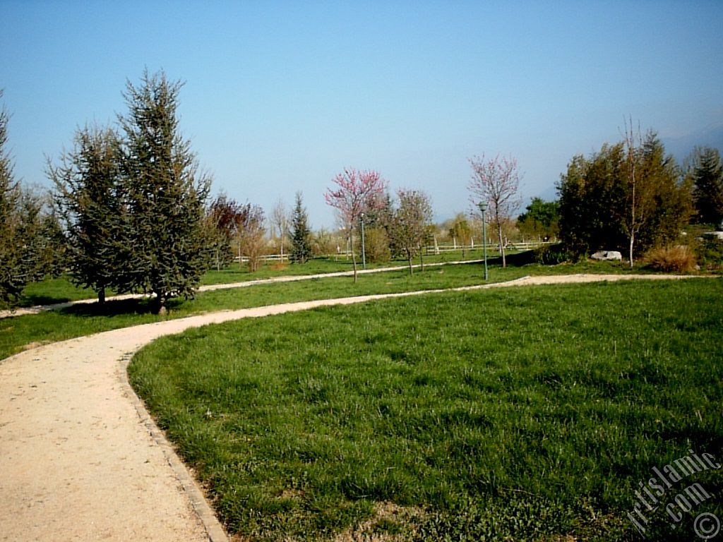 View of Botanical Park in Bursa city of Turkey.
