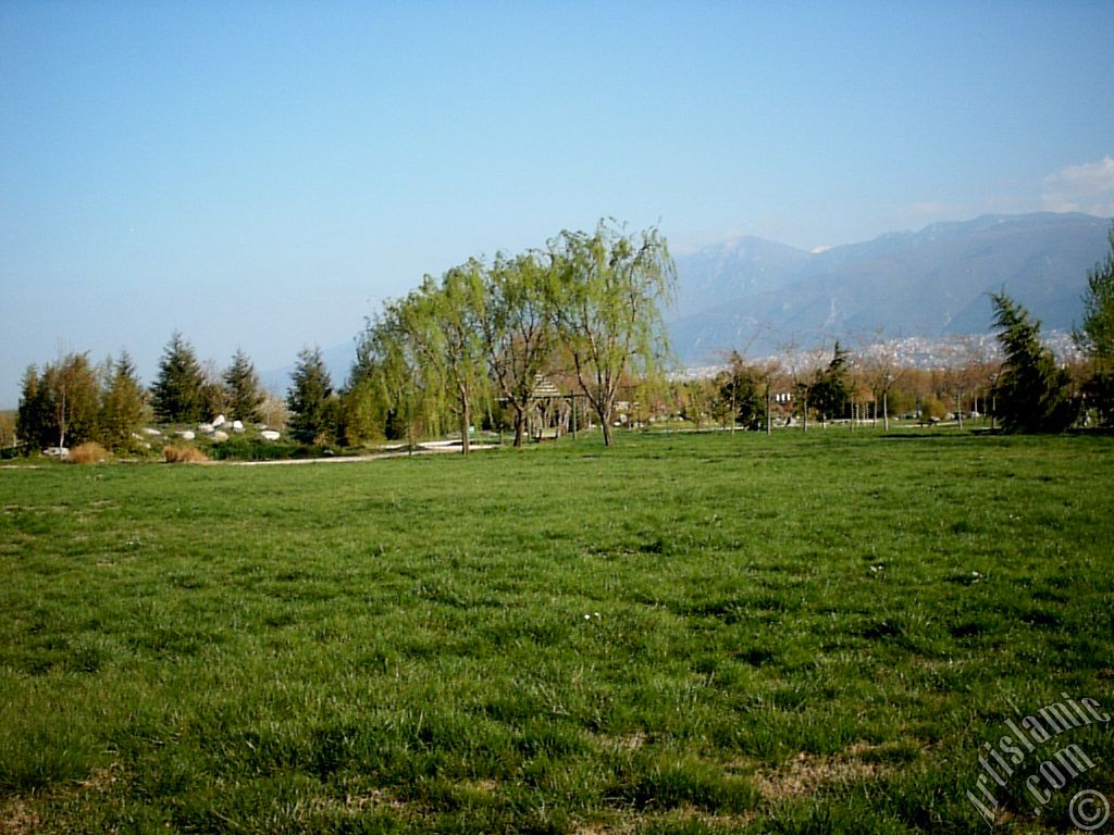 Bursa Botanik Park�ndan bir manzara.
