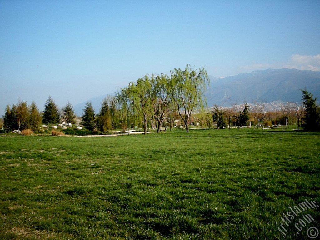 Bursa Botanik Park�ndan bir manzara.

