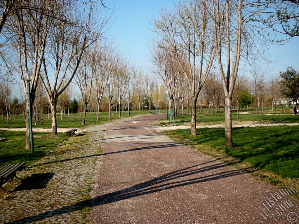 Bursa Botanik Park�ndan bir manzara.
