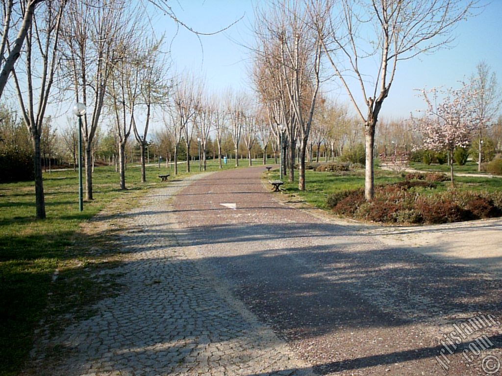 Bursa Botanik Park�ndan bir manzara.
