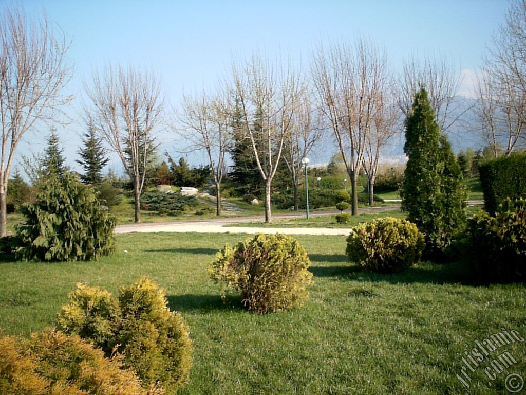 Bursa Botanik Park�ndan bir manzara.
