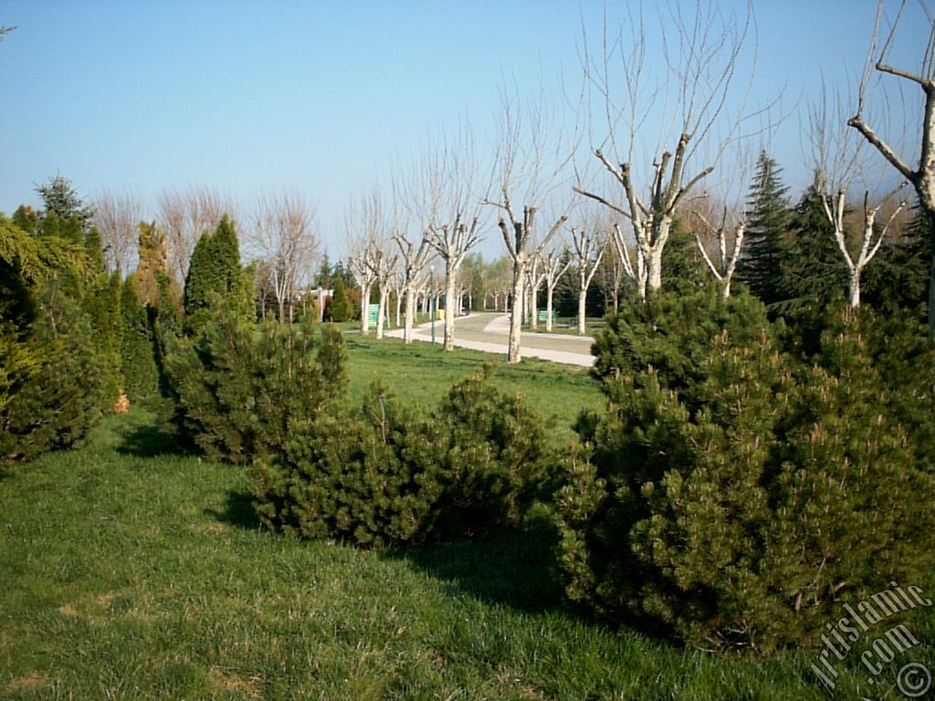 Bursa Botanik Park�ndan bir manzara.
