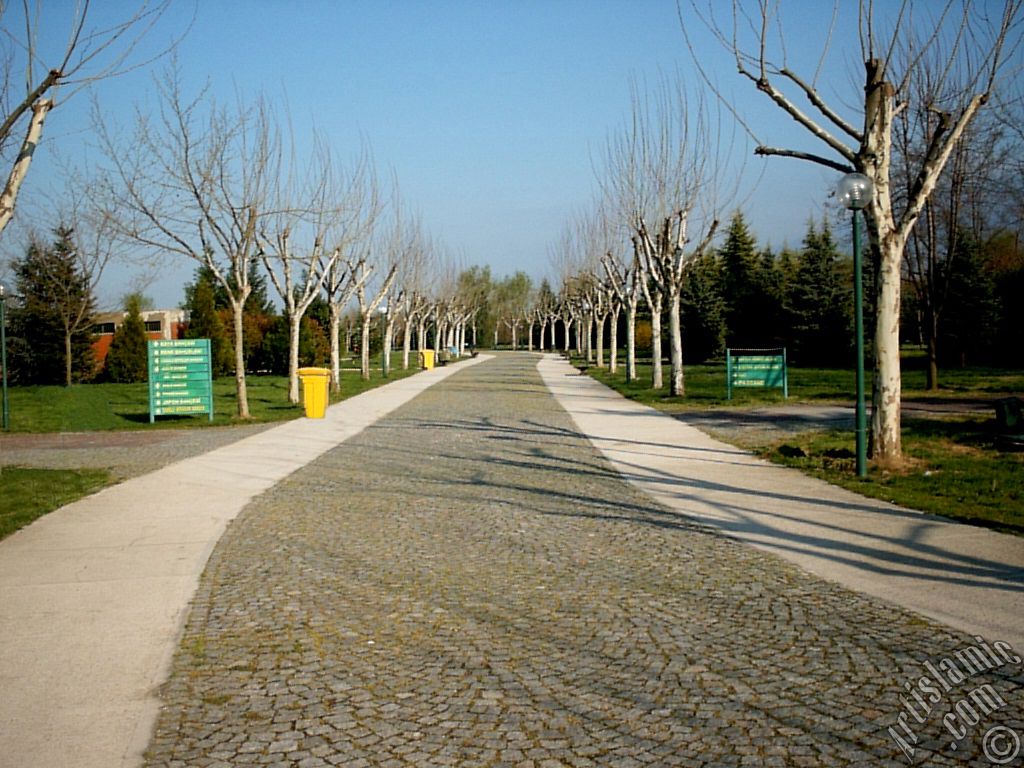 Bursa Botanik Park�ndan bir manzara.
