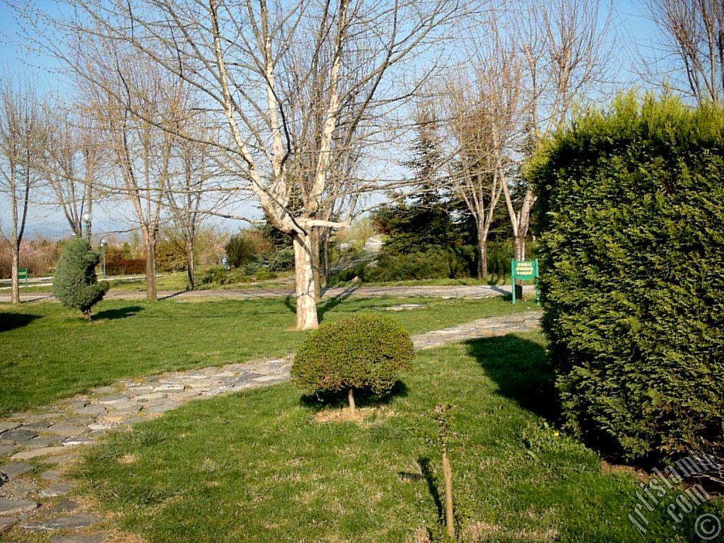Bursa Botanik Park�ndan bir manzara.
