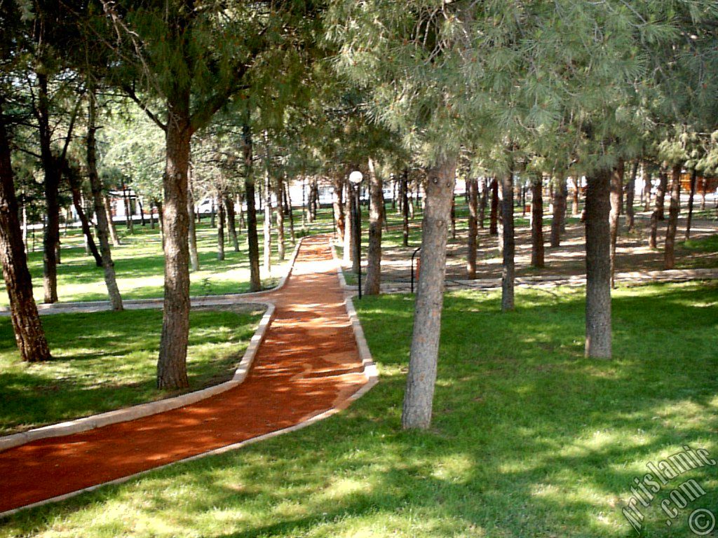 Bursa Fethiye K�y� semtinde bir parktan g�r�nt�.
