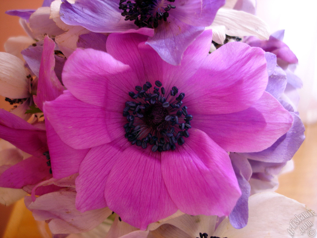A bouquet consisting of purple flowers.
