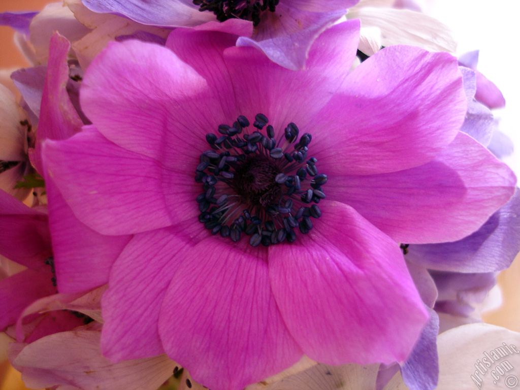A bouquet consisting of purple flowers.
