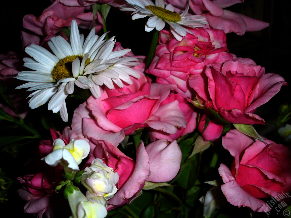 A bouquet consisting of rose, daisy and snapdragon flowers.
